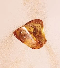 Hot Sale π Jimmy Choo Amber Kiss Eau de Parfum (125ml) Womens Perfume π 5 Hot Sale π Jimmy Choo Amber Kiss Eau de Parfum (125ml) Womens Perfume π -Jimmy Choo Sales jimmy choo amber kiss eau de parfum 125ml 15309533 26574971 1000