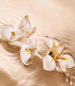 Deals π Jimmy Choo Iris Crush Eau de Parfum (125ml) Womens Perfume βοΈ 5 Deals π Jimmy Choo Iris Crush Eau de Parfum (125ml) Womens Perfume βοΈ -Jimmy Choo Sales jimmy choo iris crush eau de parfum 125ml 15309525 26574962 1000