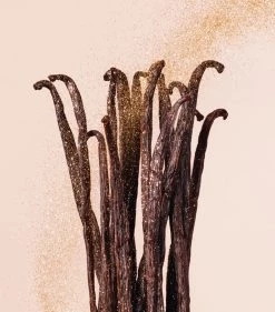 Cheapest β€οΈ Jimmy Choo Vanilla Love Eau de Parfum (125ml) Womens Perfume π― 5 Cheapest β€οΈ Jimmy Choo Vanilla Love Eau de Parfum (125ml) Womens Perfume π― -Jimmy Choo Sales jimmy choo vanilla love eau de parfum 125ml 15309532 26574978 1000