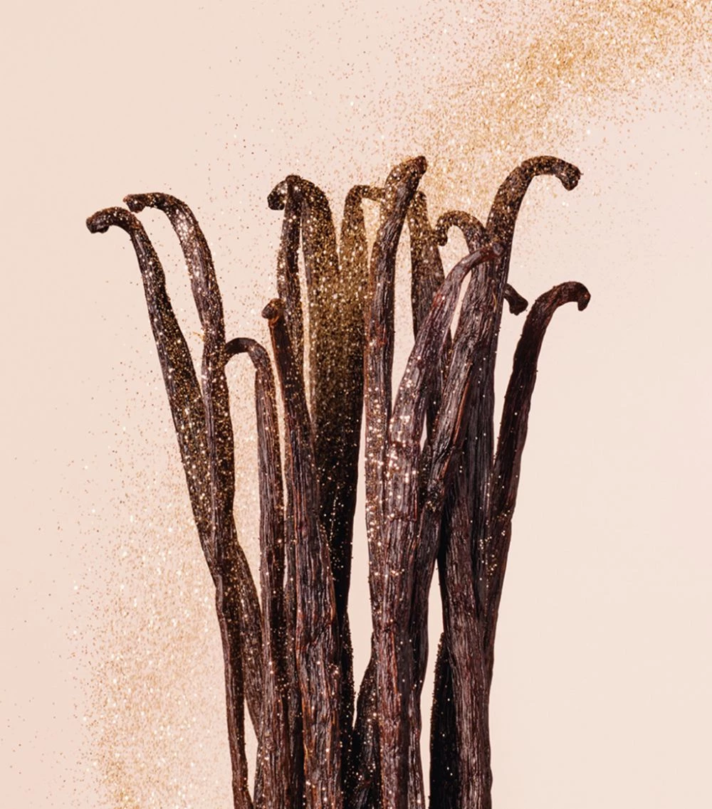 Cheapest β€οΈ Jimmy Choo Vanilla Love Eau de Parfum (125ml) Womens Perfume π― 3 Cheapest β€οΈ Jimmy Choo Vanilla Love Eau de Parfum (125ml) Womens Perfume π― - Image 3